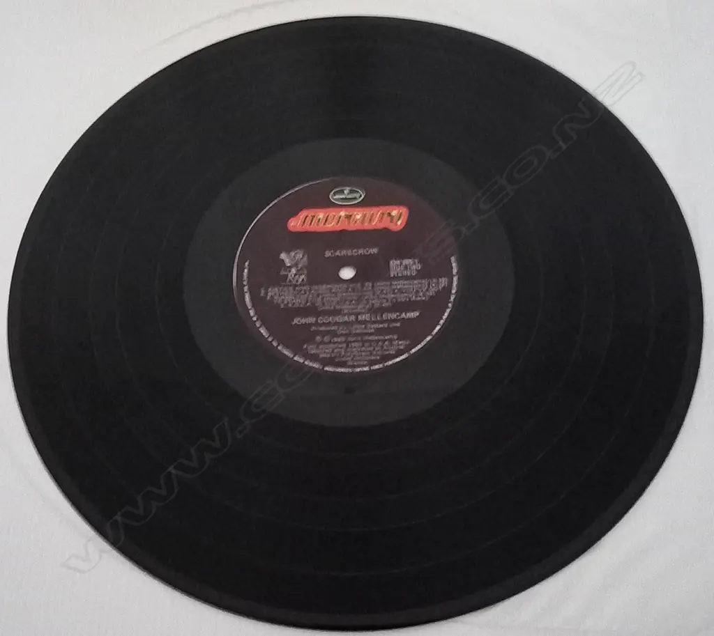 John Cougar Mellencamp, Scarecrow Image 1++